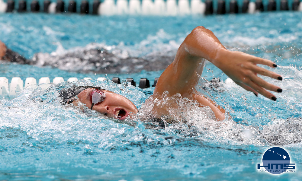 2014-15 Winter Sports All-Stars: Swimming & Diving