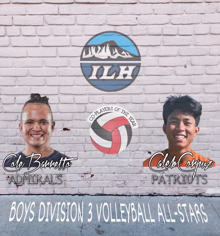2022-2023 Spring Season Sports All-Stars: Boys Division 3 Volleyball