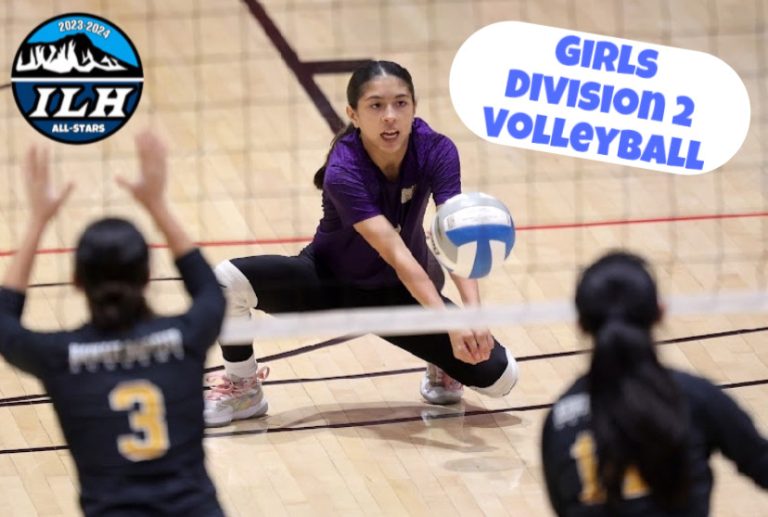 2023-2024 Fall Season Sports All-Stars: Girls Division 2 Volleyball