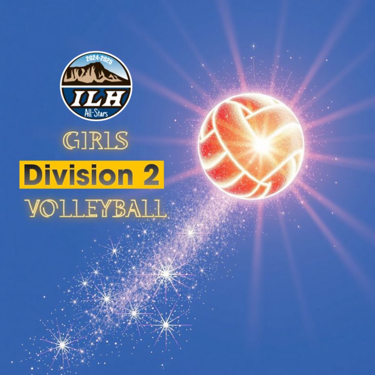 2024-2025 Fall Season Sports All-Stars: Girls Division 2 Volleyball